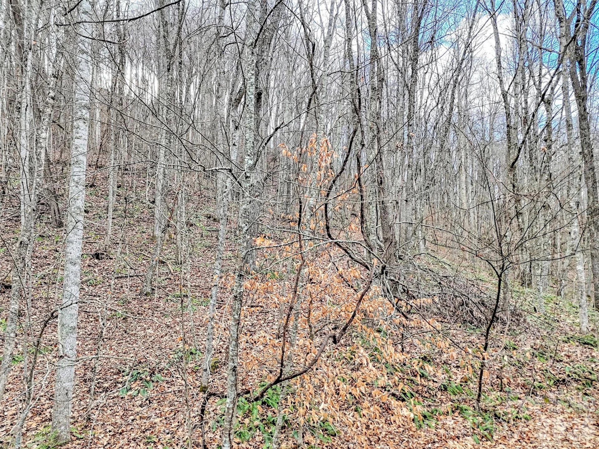 Lot 4D Pelican Place - Photo 8