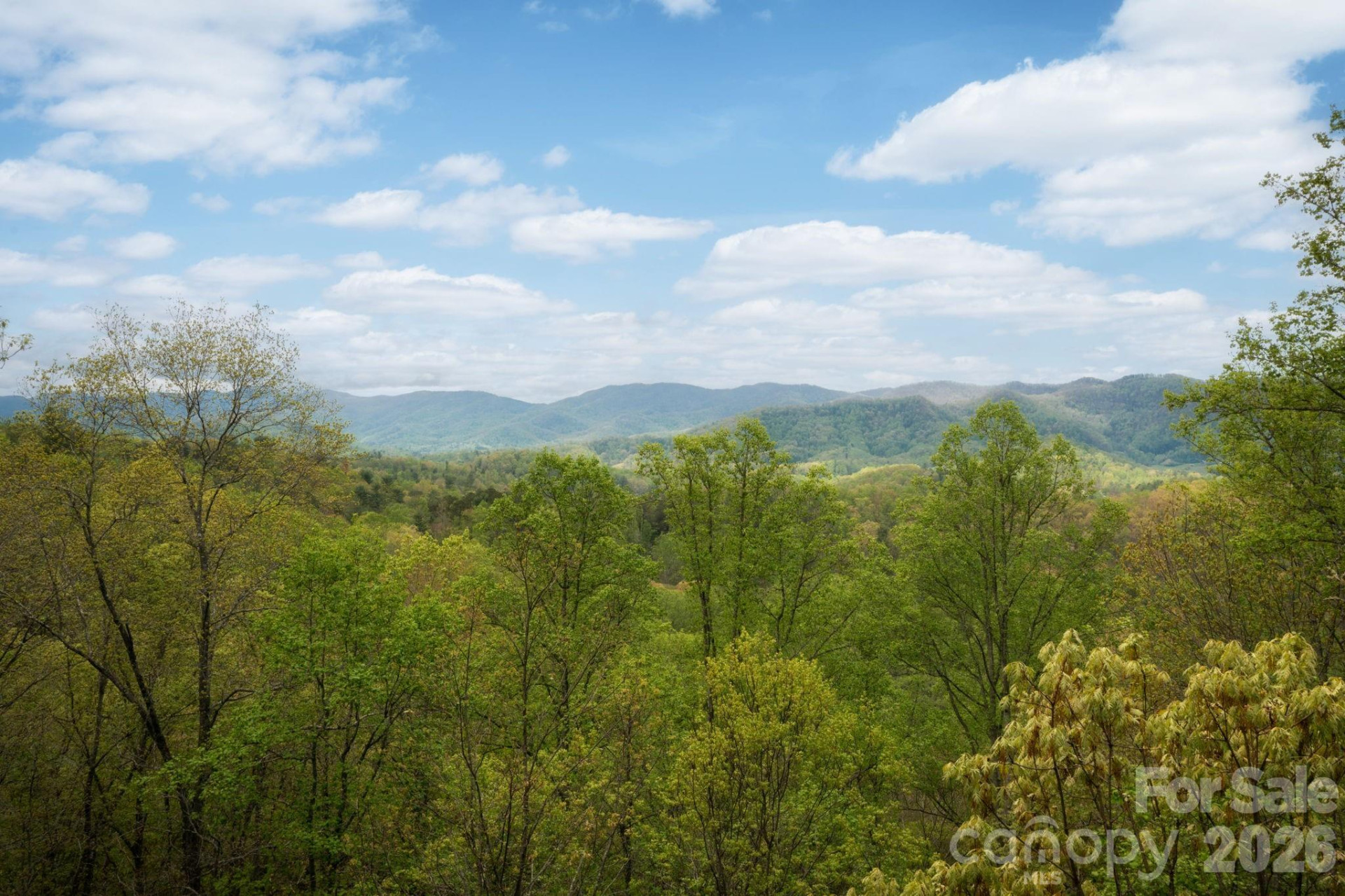 69 Heslar Way - Photo 5