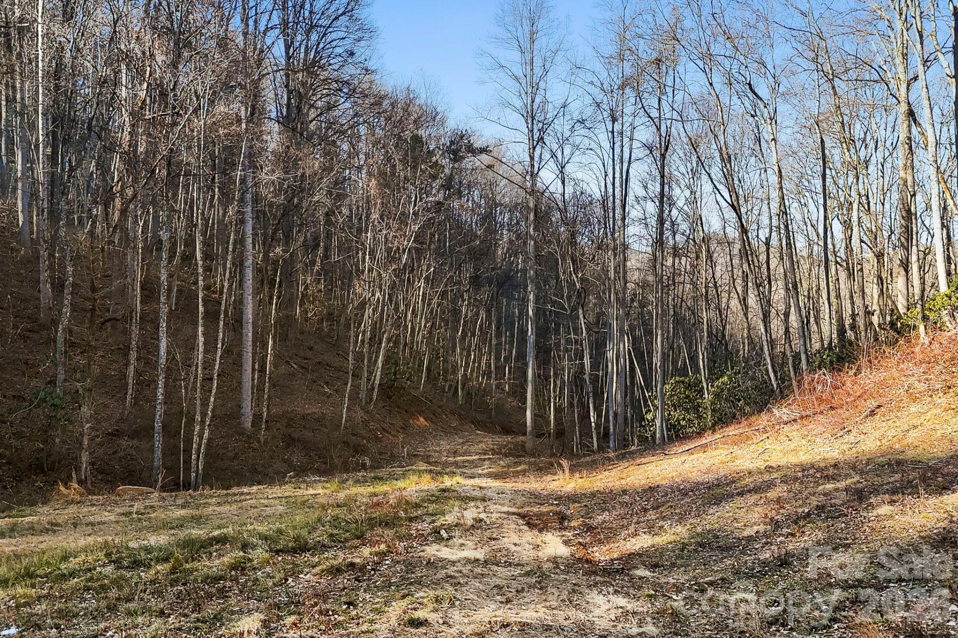 14 Selway Drive - Photo 36