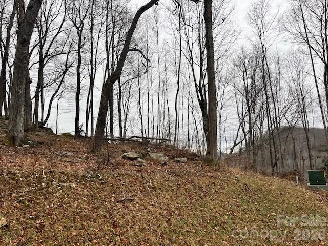C-114 Spring Water Lane - Photo 2