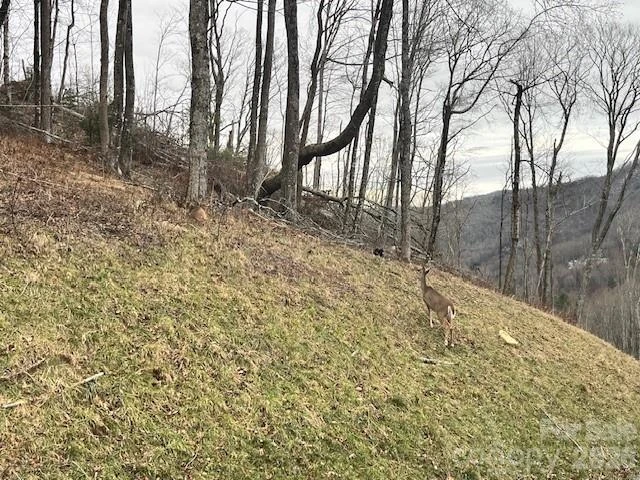 C-114 Spring Water Lane - Photo 11