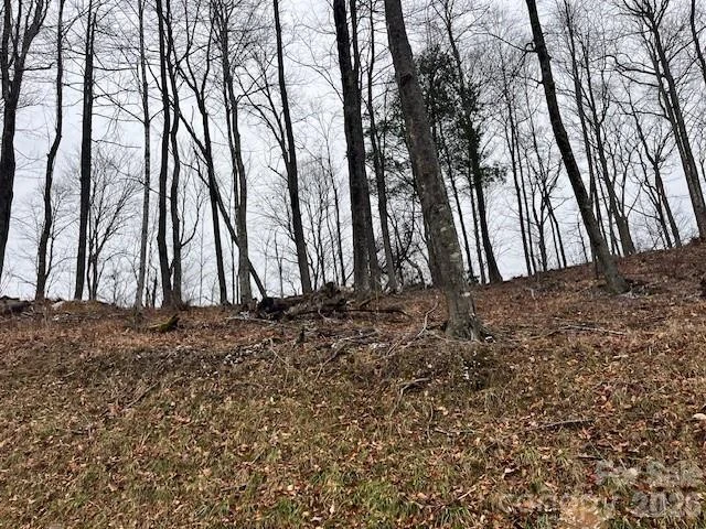 C-114 Spring Water Lane - Photo 3