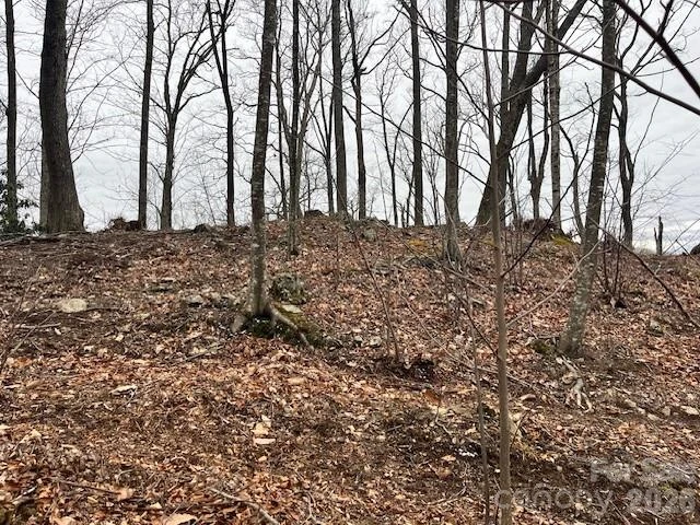 C-114 Spring Water Lane - Photo 4