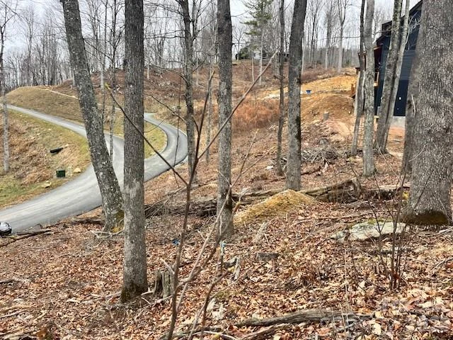 C-114 Spring Water Lane - Photo 5