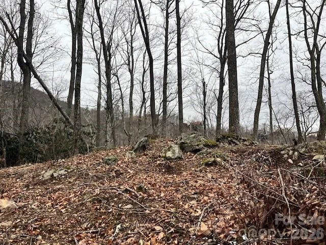 C-114 Spring Water Lane - Photo 7