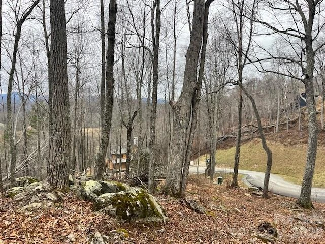 C-114 Spring Water Lane - Photo 8