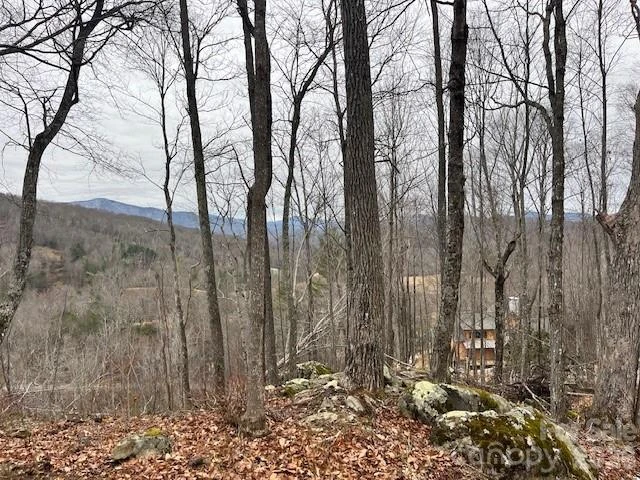 C-114 Spring Water Lane - Photo 9