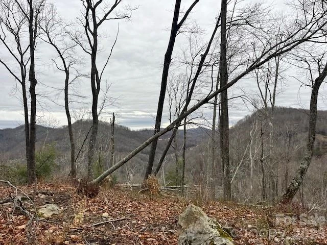 C-114 Spring Water Lane - Photo 10