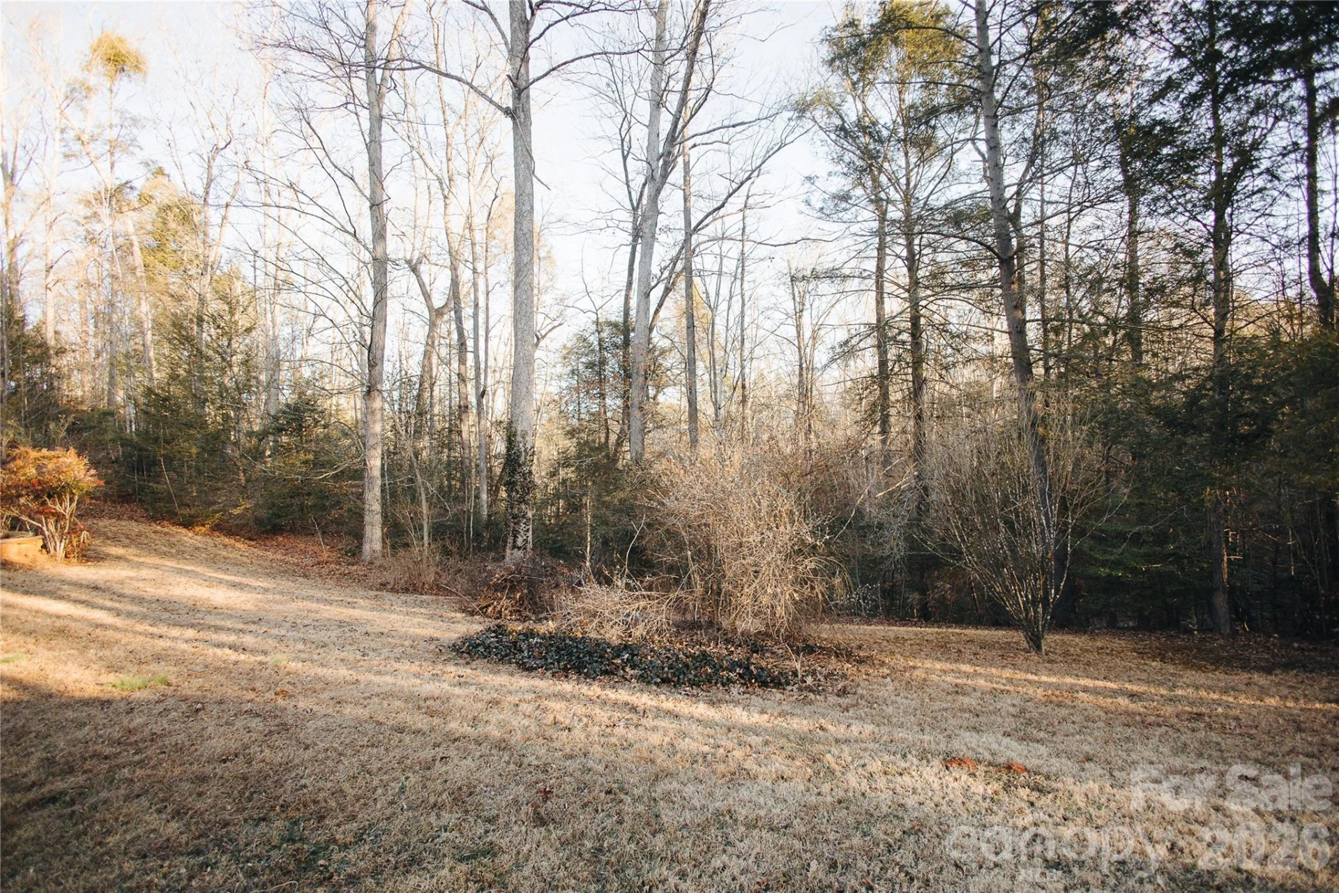 2506 Lytle Mountain Road - Photo 32