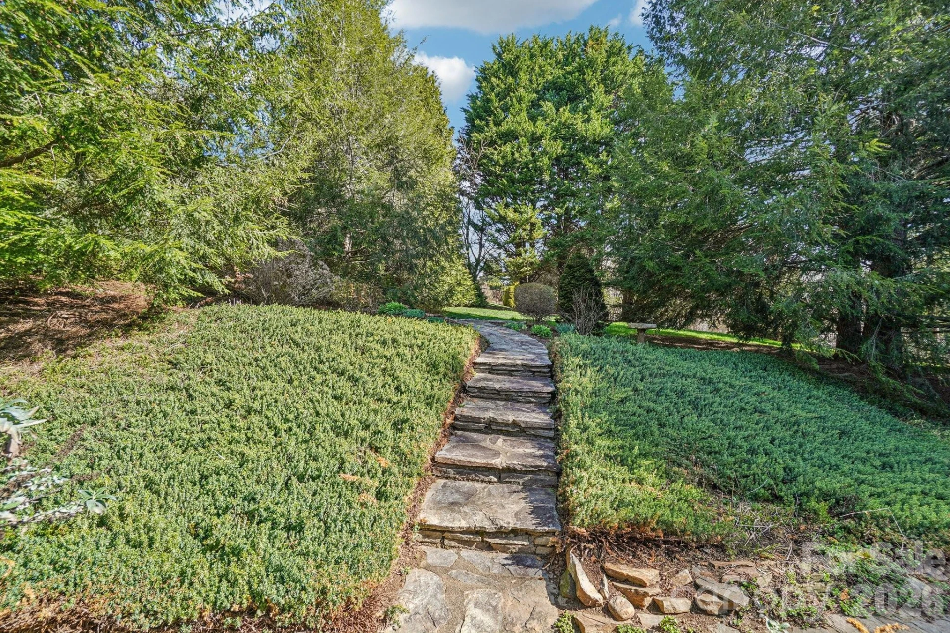 116 Cypress Point - Photo 24