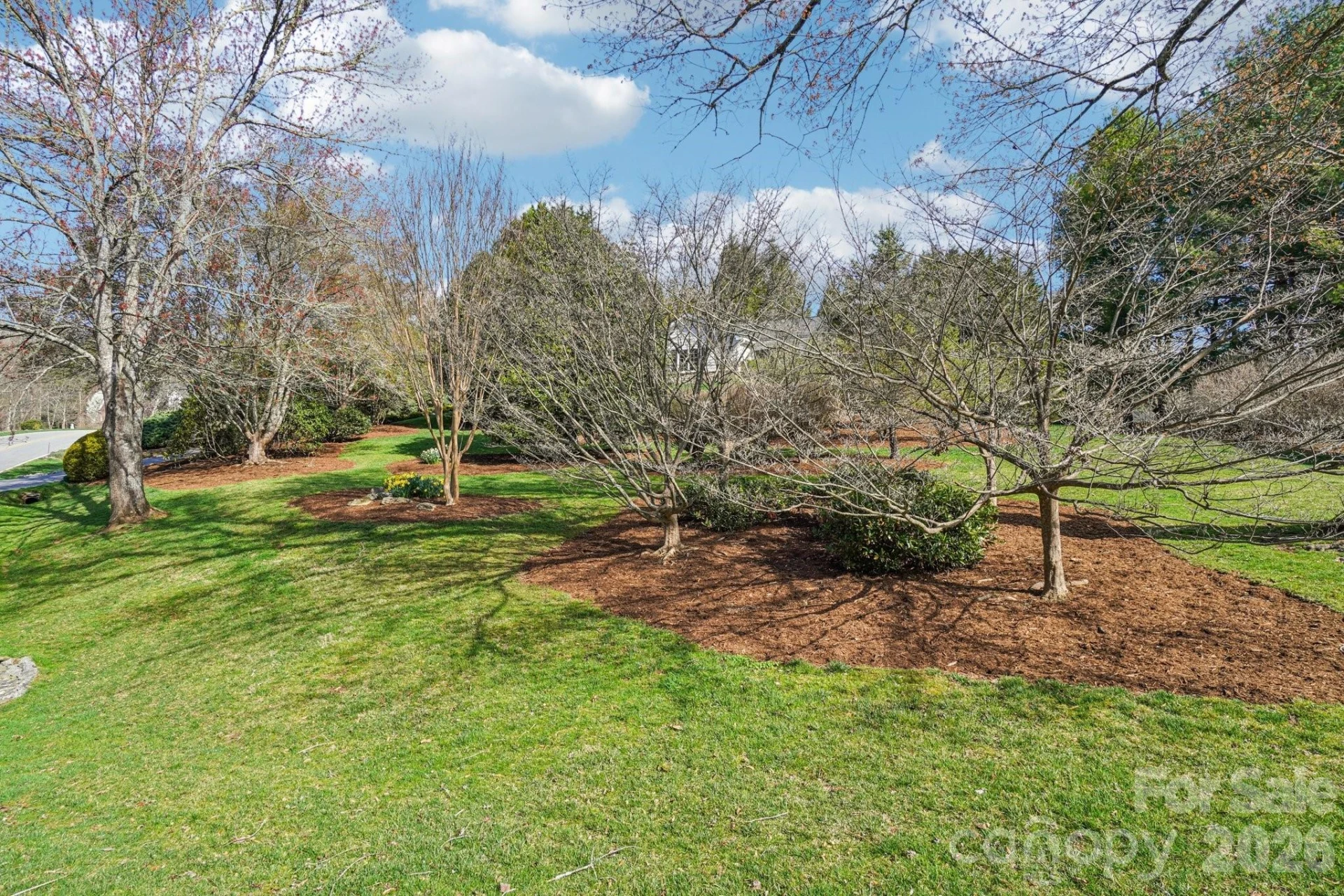116 Cypress Point - Photo 29