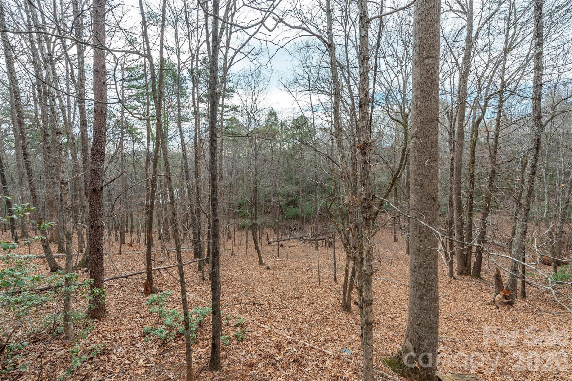 145 Flynn Court - Photo 33