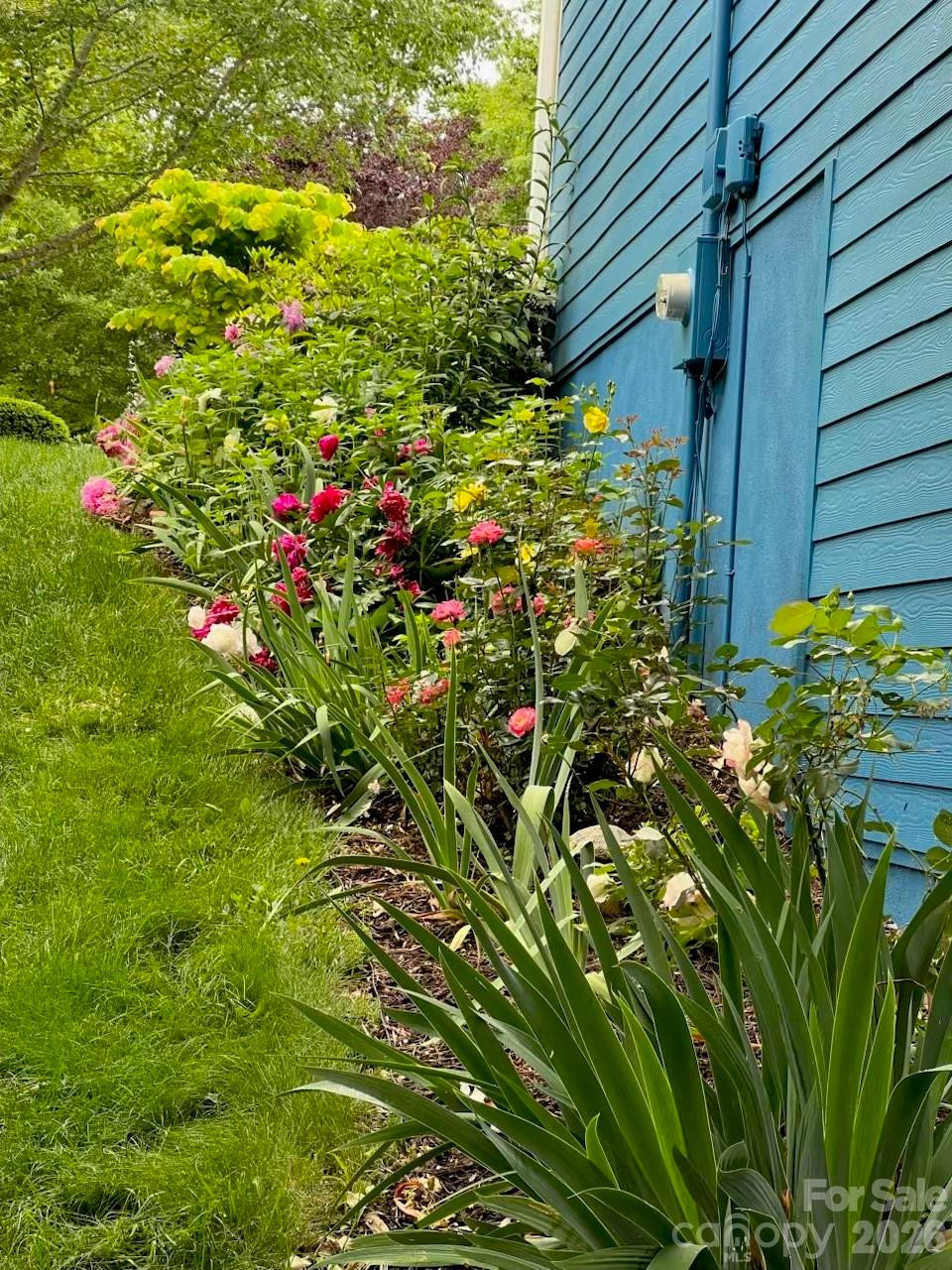 4 Hoolet Court - Photo 34