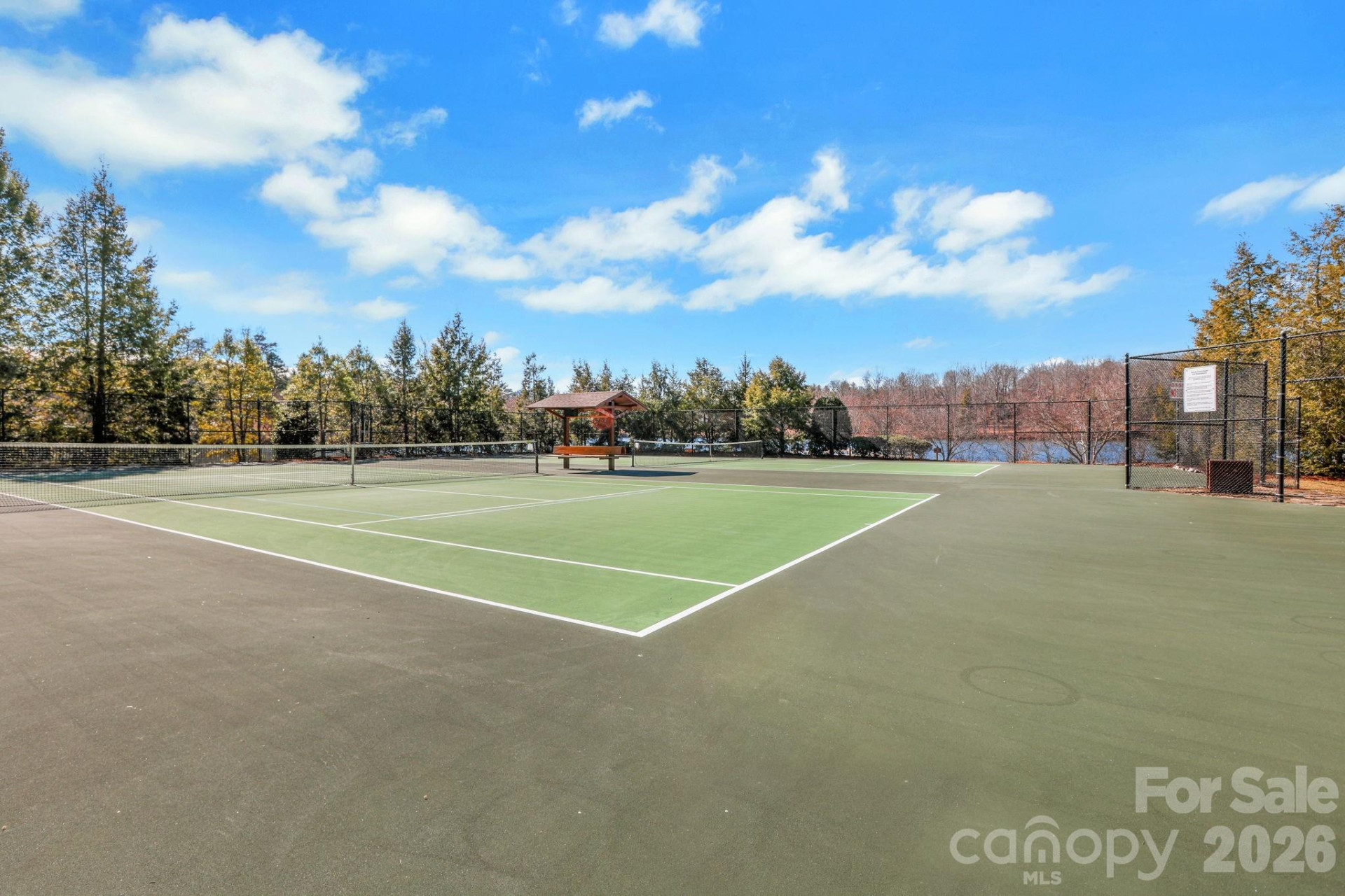 4 Hoolet Court - Photo 38