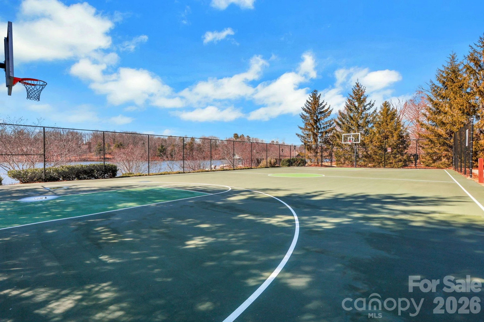 4 Hoolet Court - Photo 39