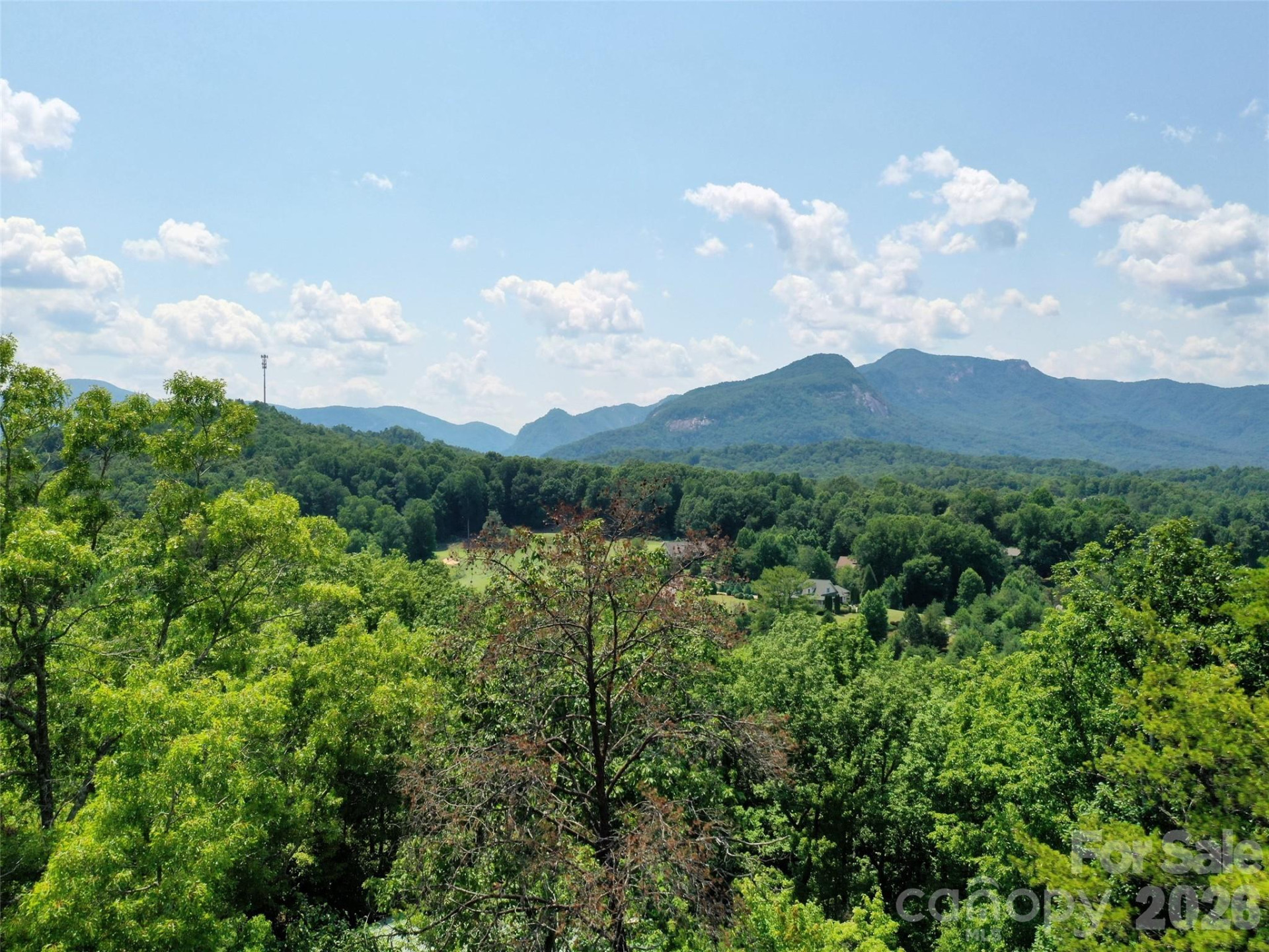 0 Buffalo Creek Road #Lot 35 - Photo 16