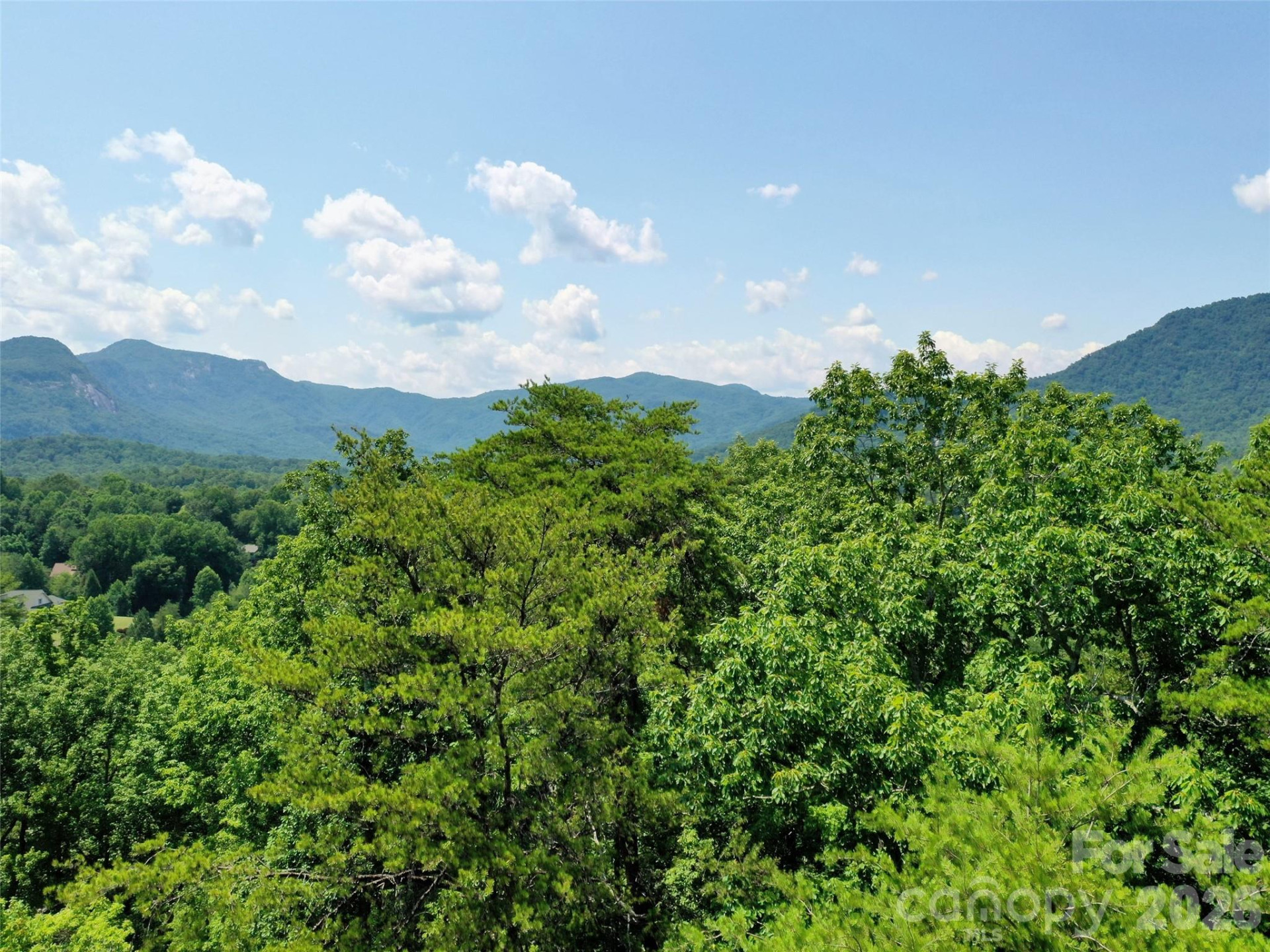 0 Buffalo Creek Road #Lot 35 - Photo 17