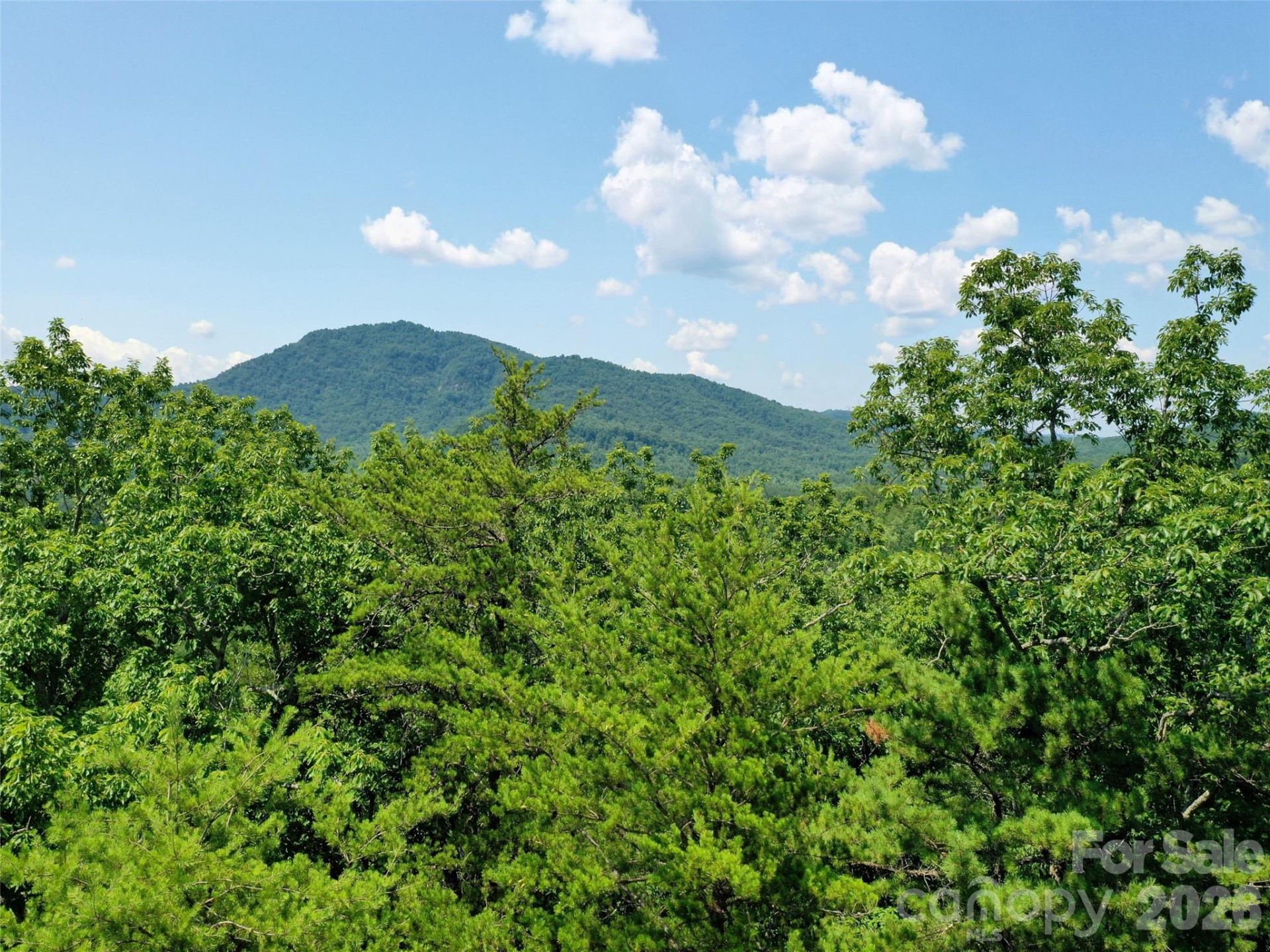 0 Buffalo Creek Road #Lot 35 - Photo 18