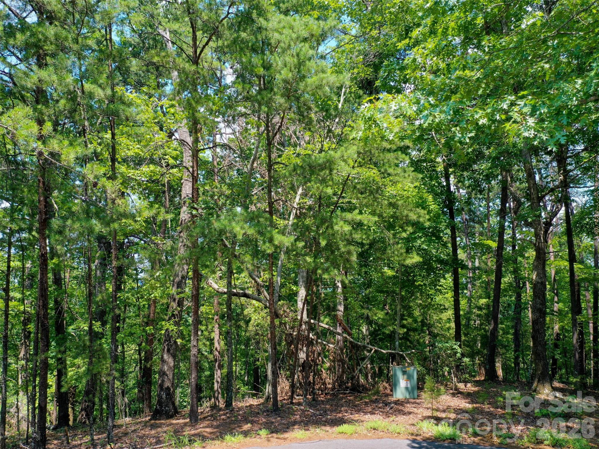 0 Buffalo Creek Road #Lot 35 - Photo 19