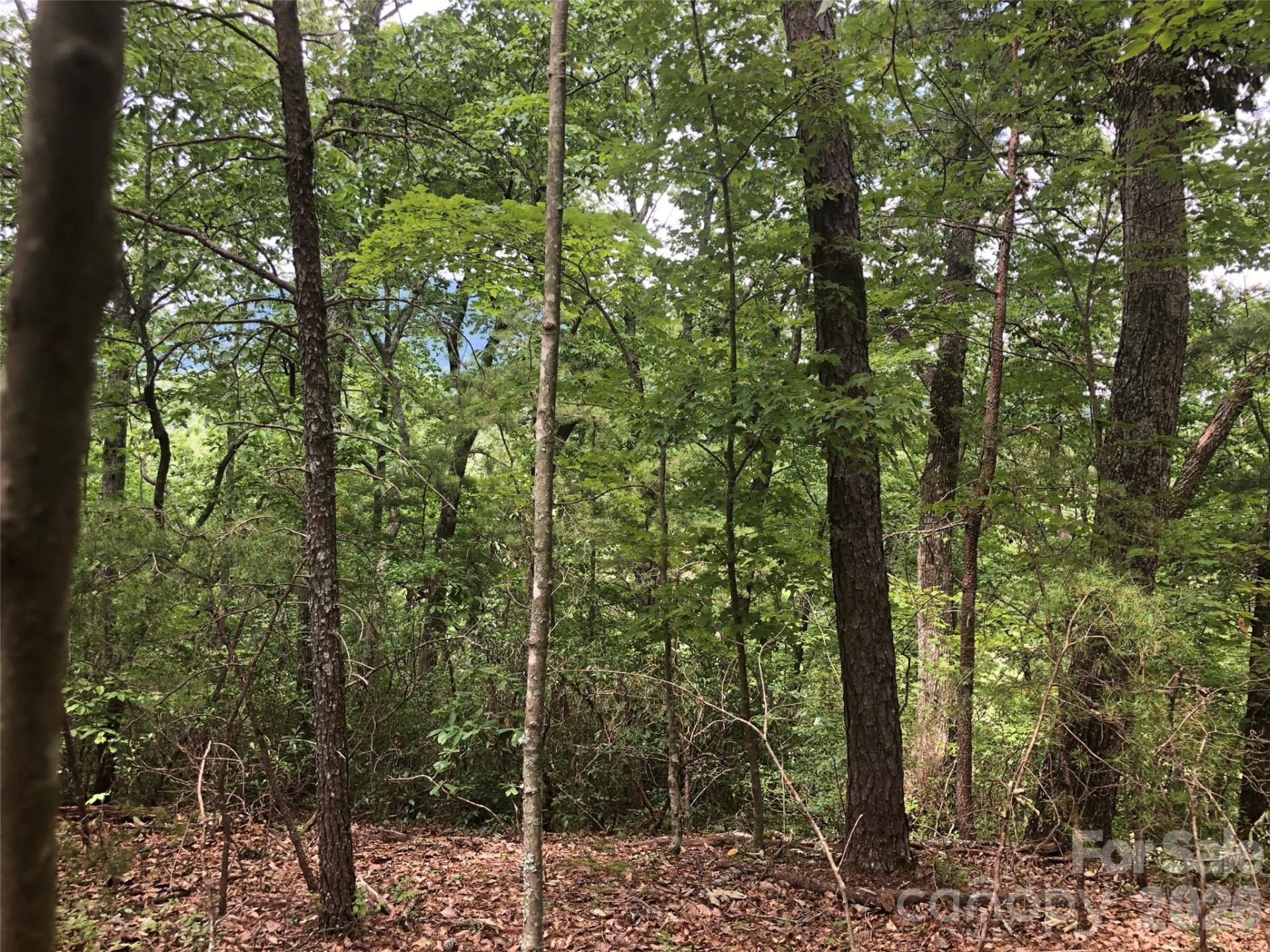 0 Buffalo Creek Road #Lot 35 - Photo 6
