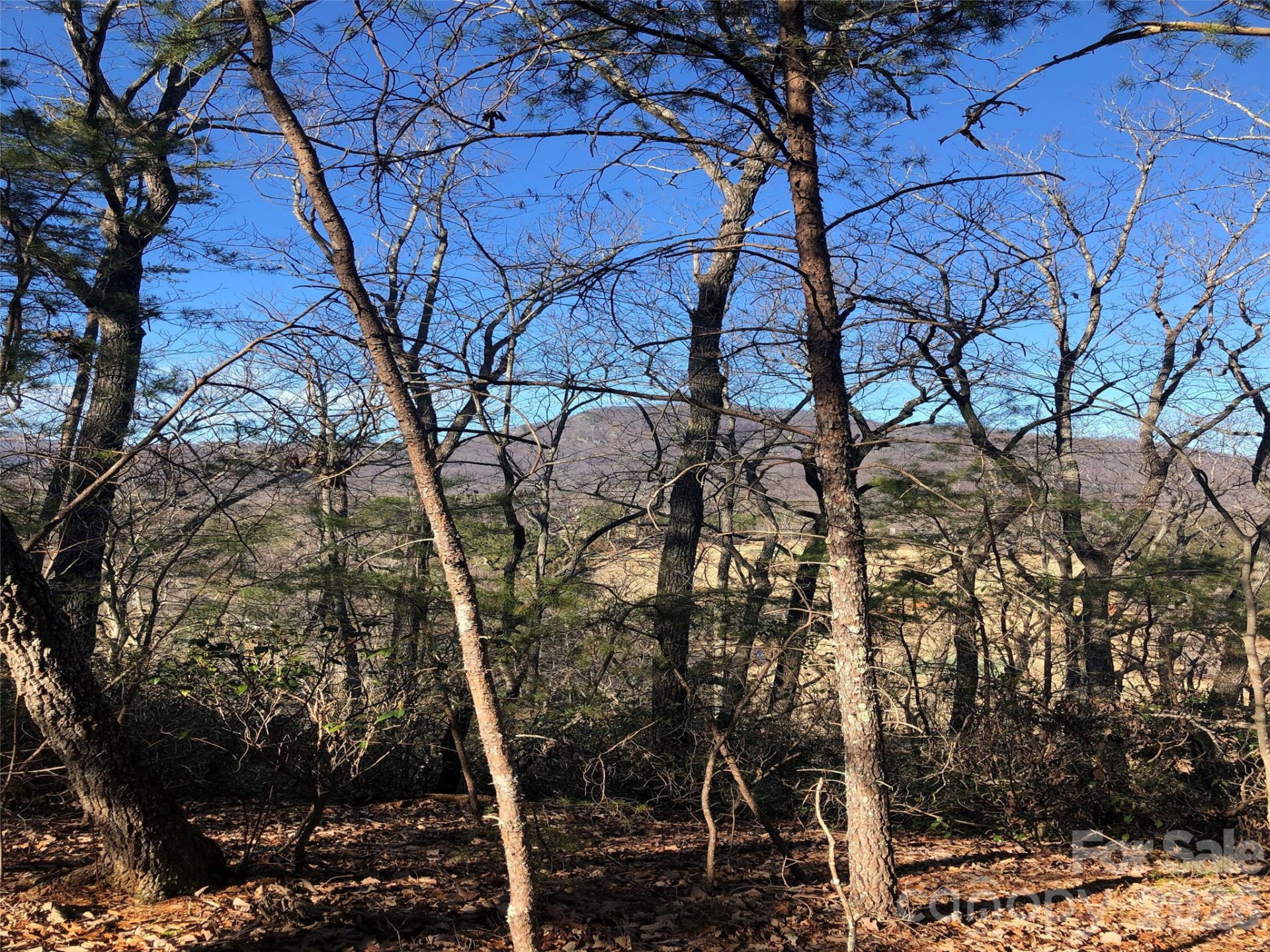 0 Buffalo Creek Road #Lot 35 - Photo 7