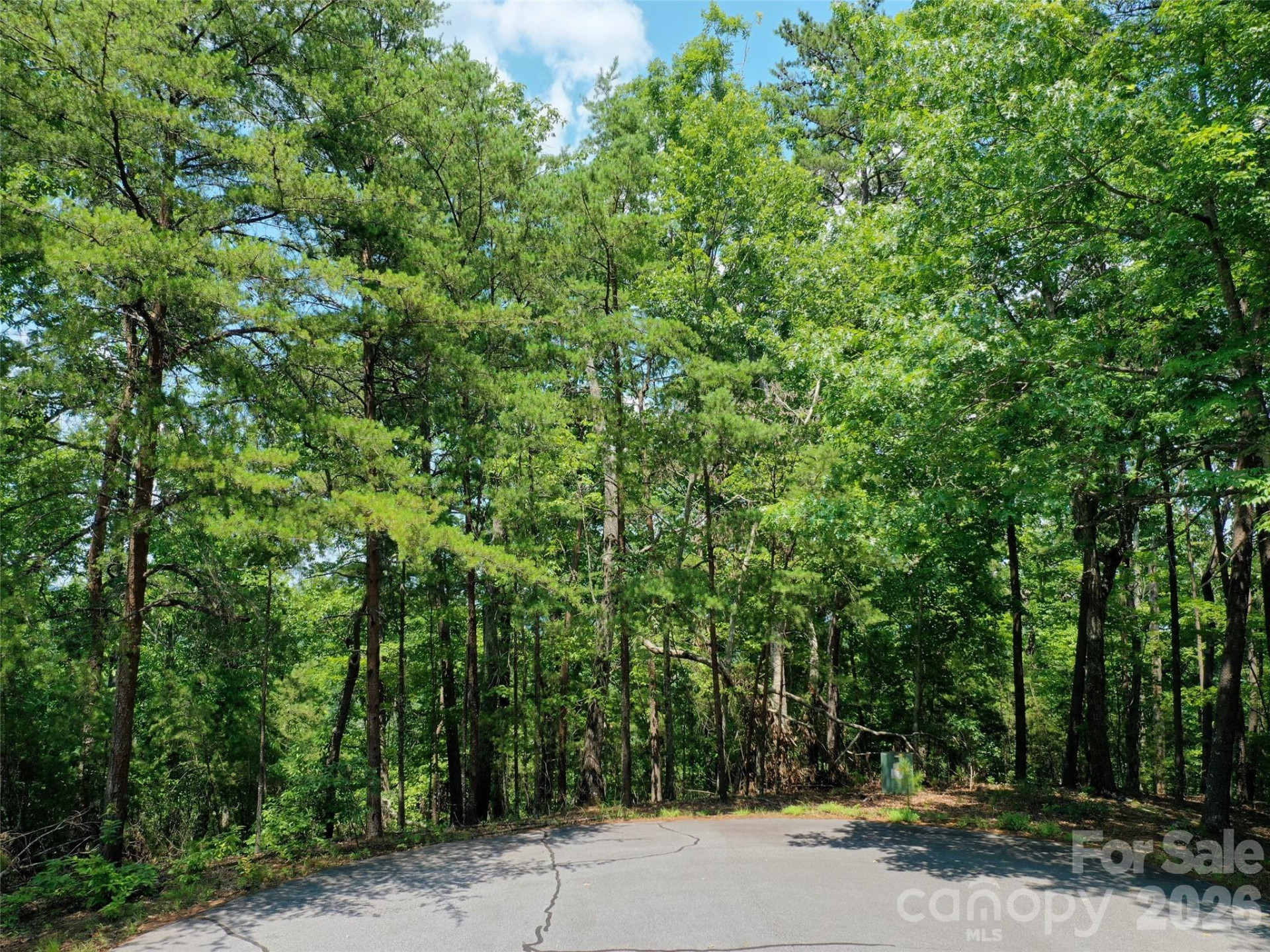 0 Buffalo Creek Road #Lot 35 - Photo 8
