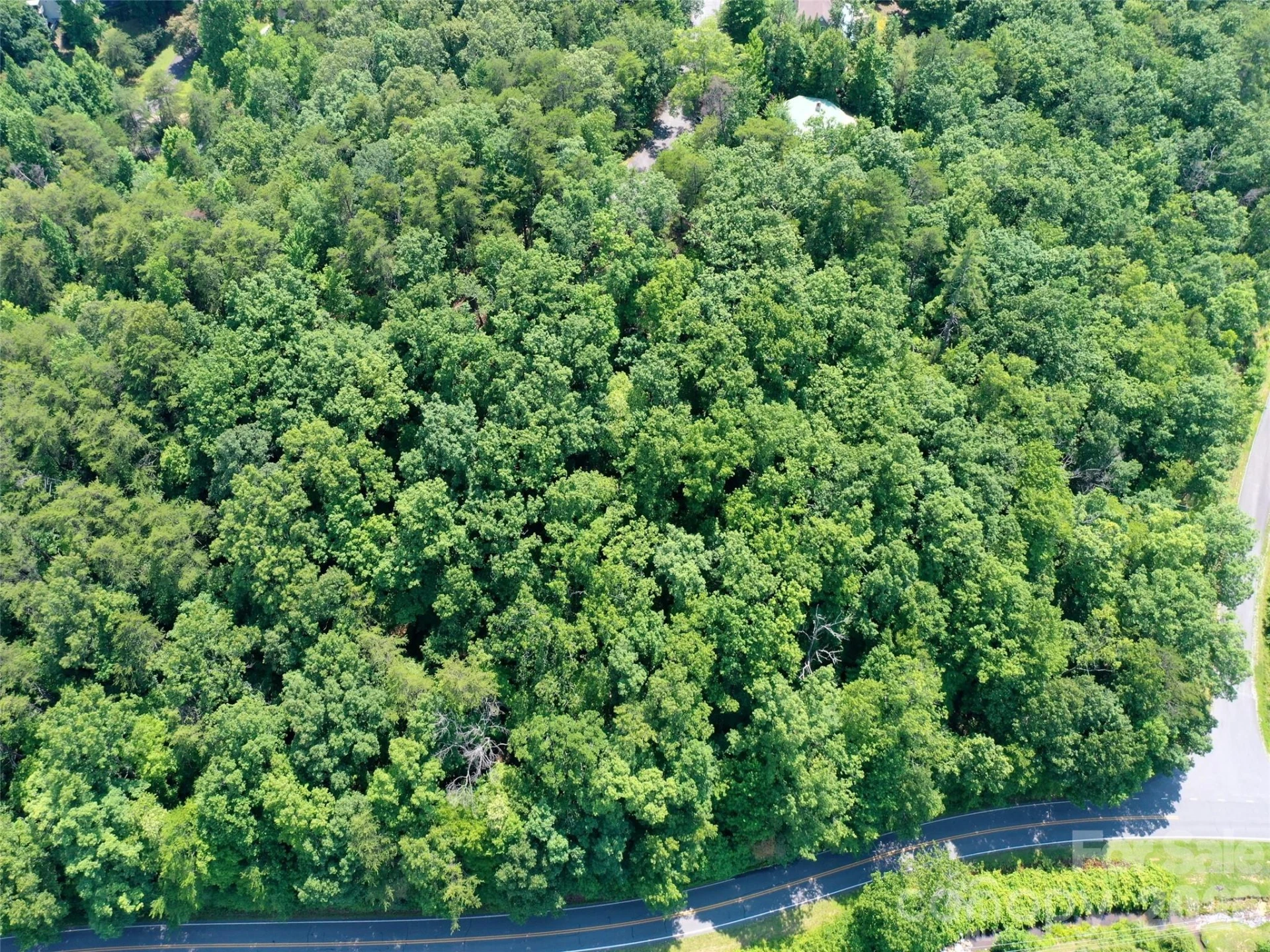 0 Buffalo Creek Road #Lot 35 - Photo 10