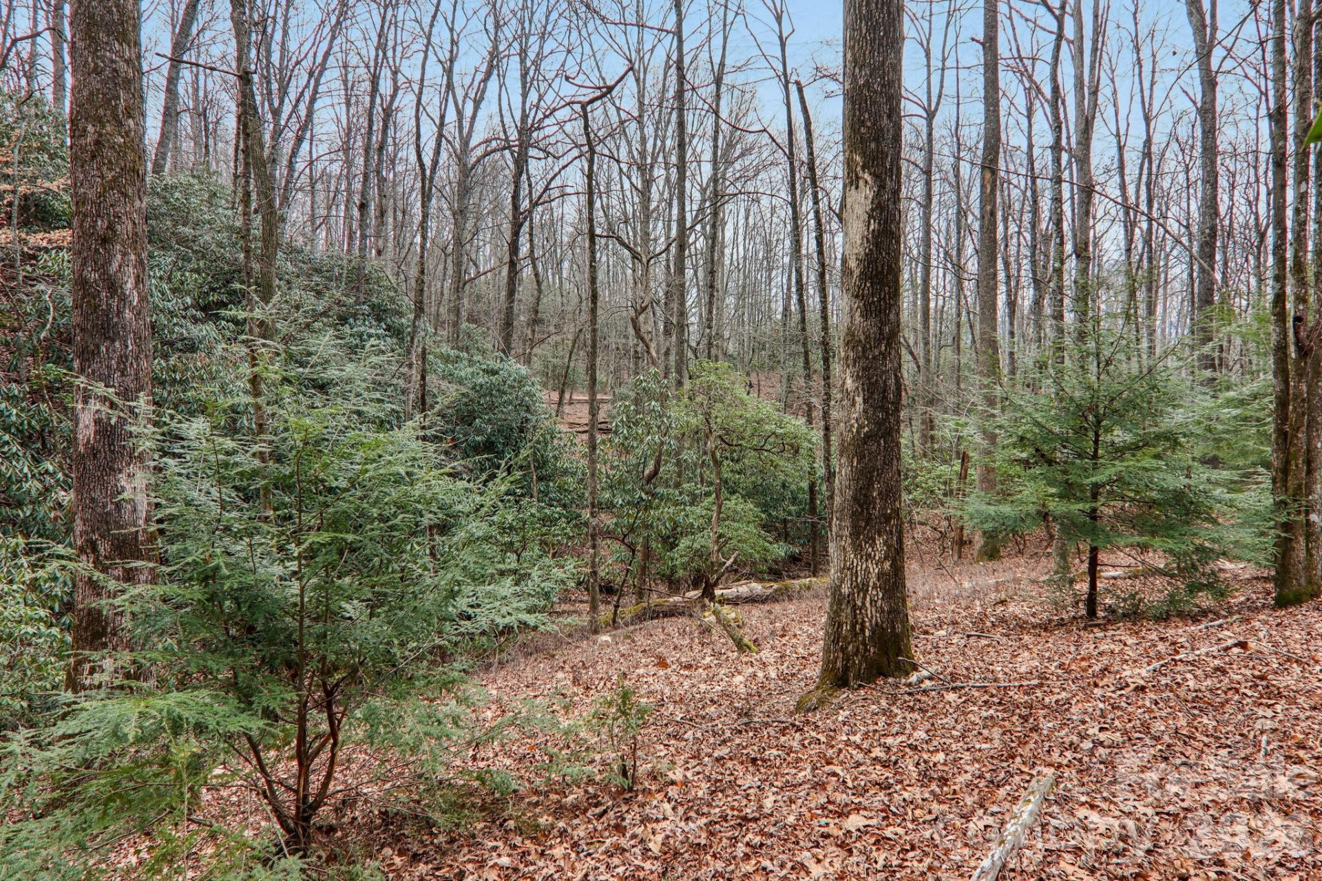 71 Setsi Lane - Photo 35