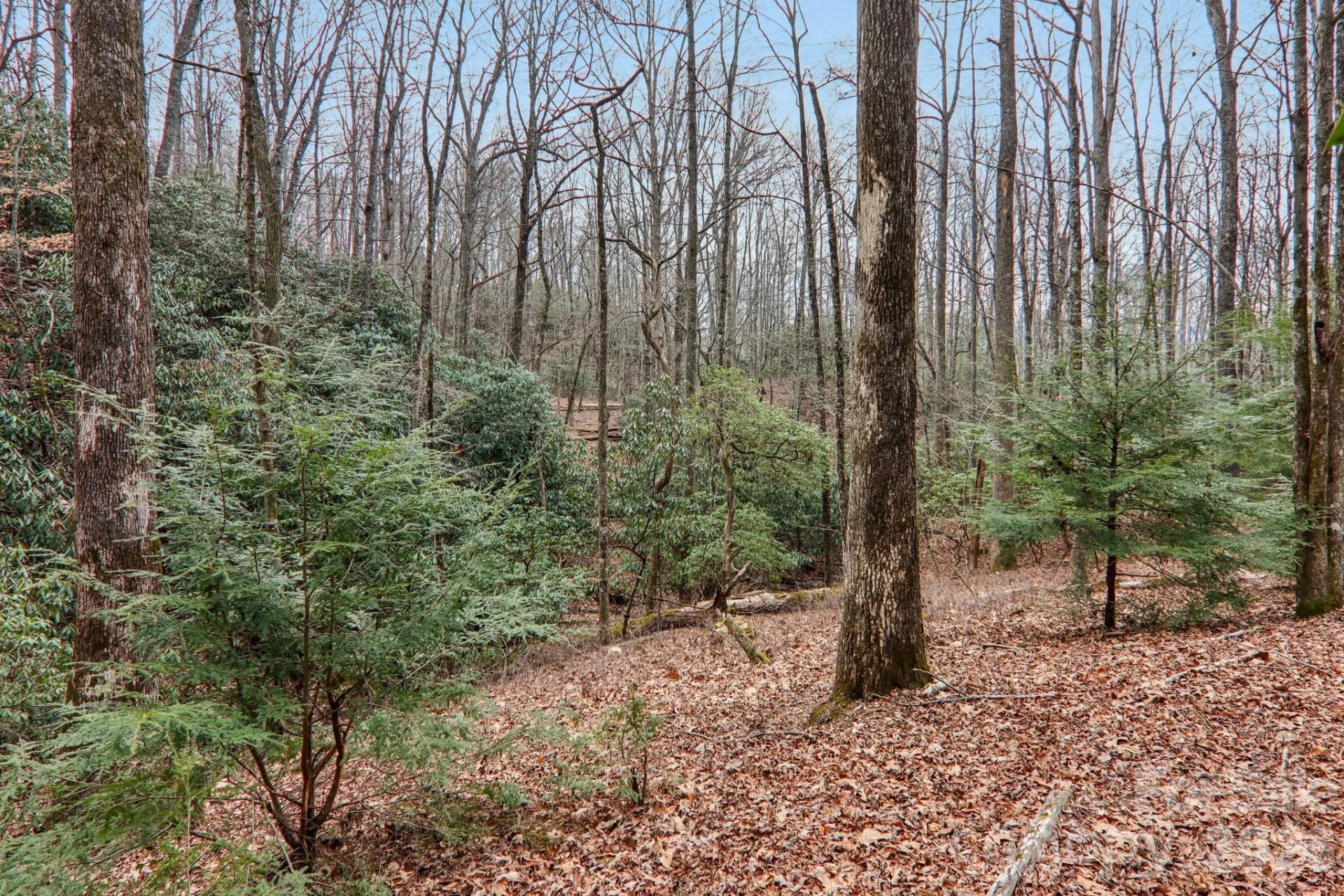 71 Setsi Lane - Photo 35