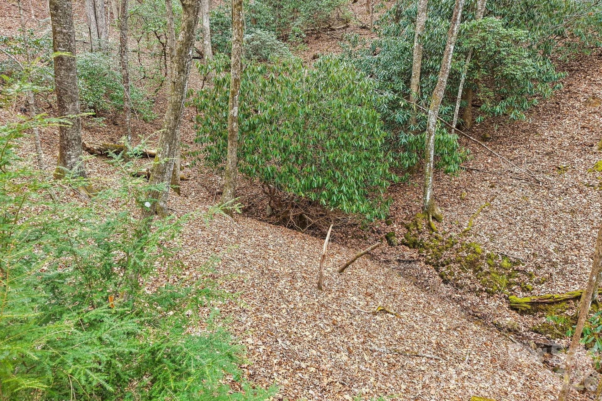 71 Setsi Lane - Photo 36