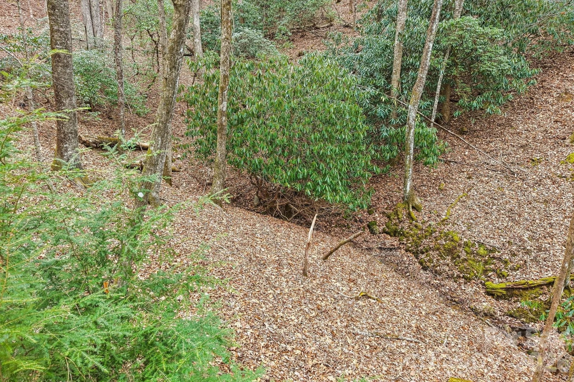 71 Setsi Lane - Photo 36