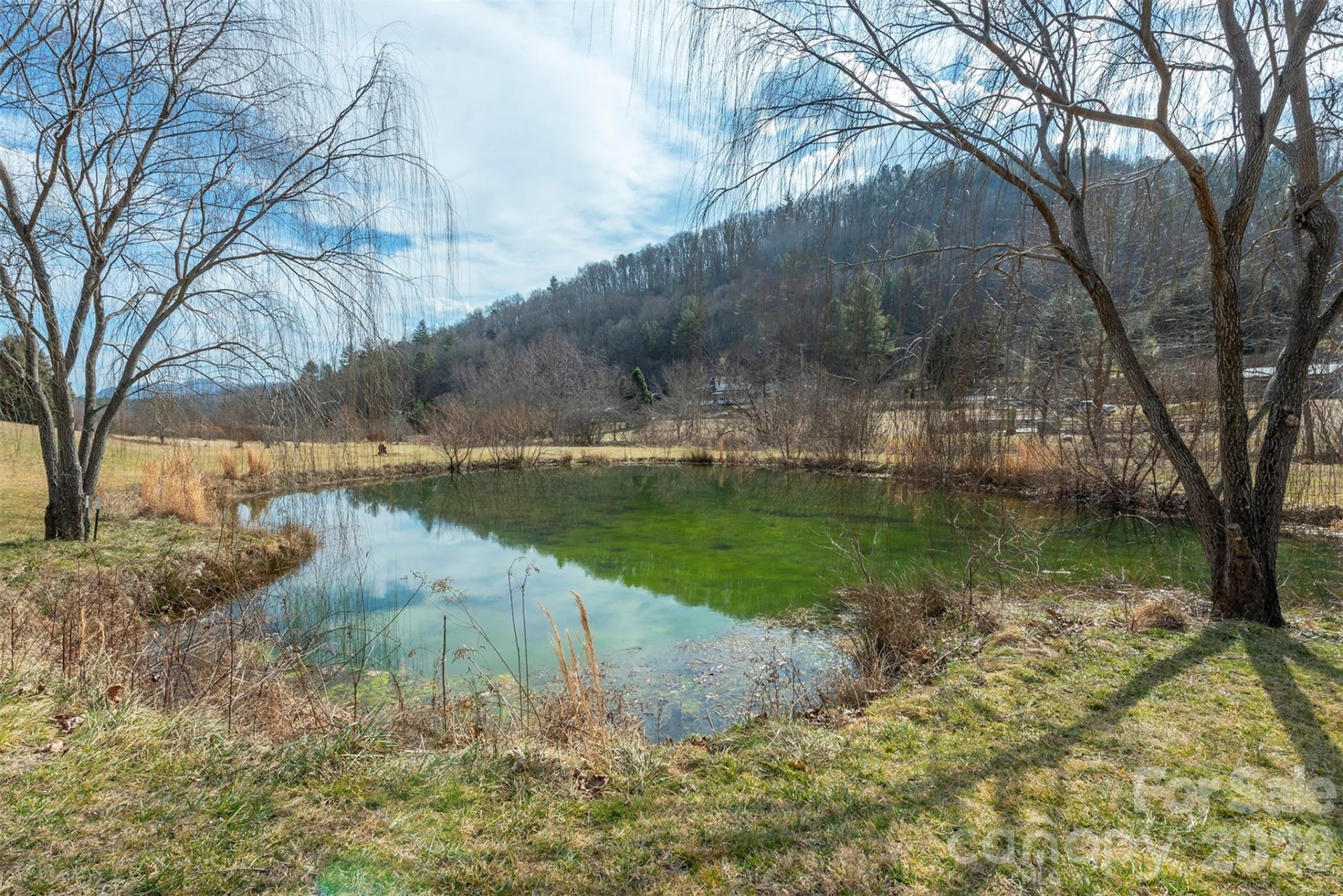 18 Hoye Lane - Photo 39