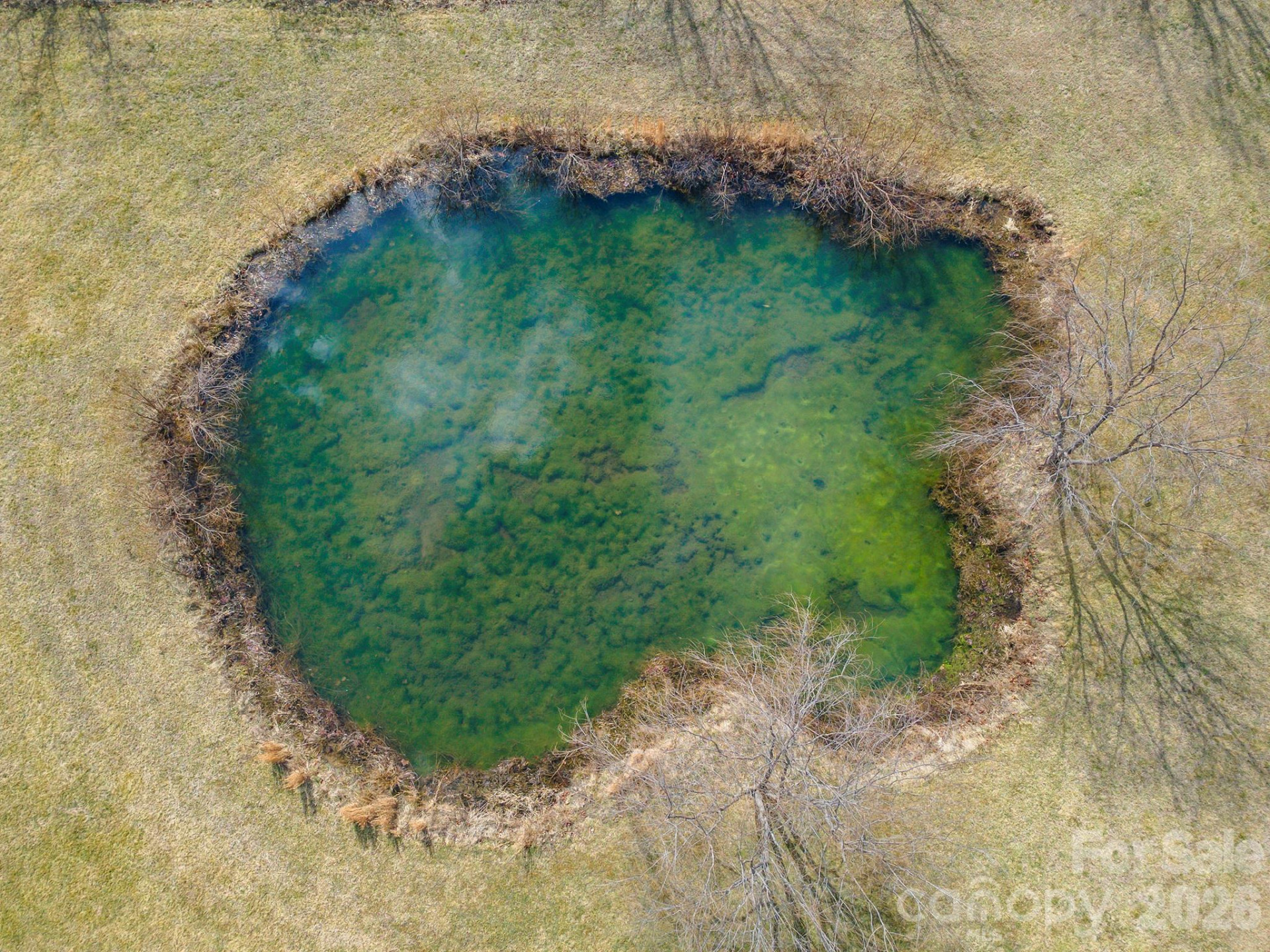 18 Hoye Lane - Photo 7