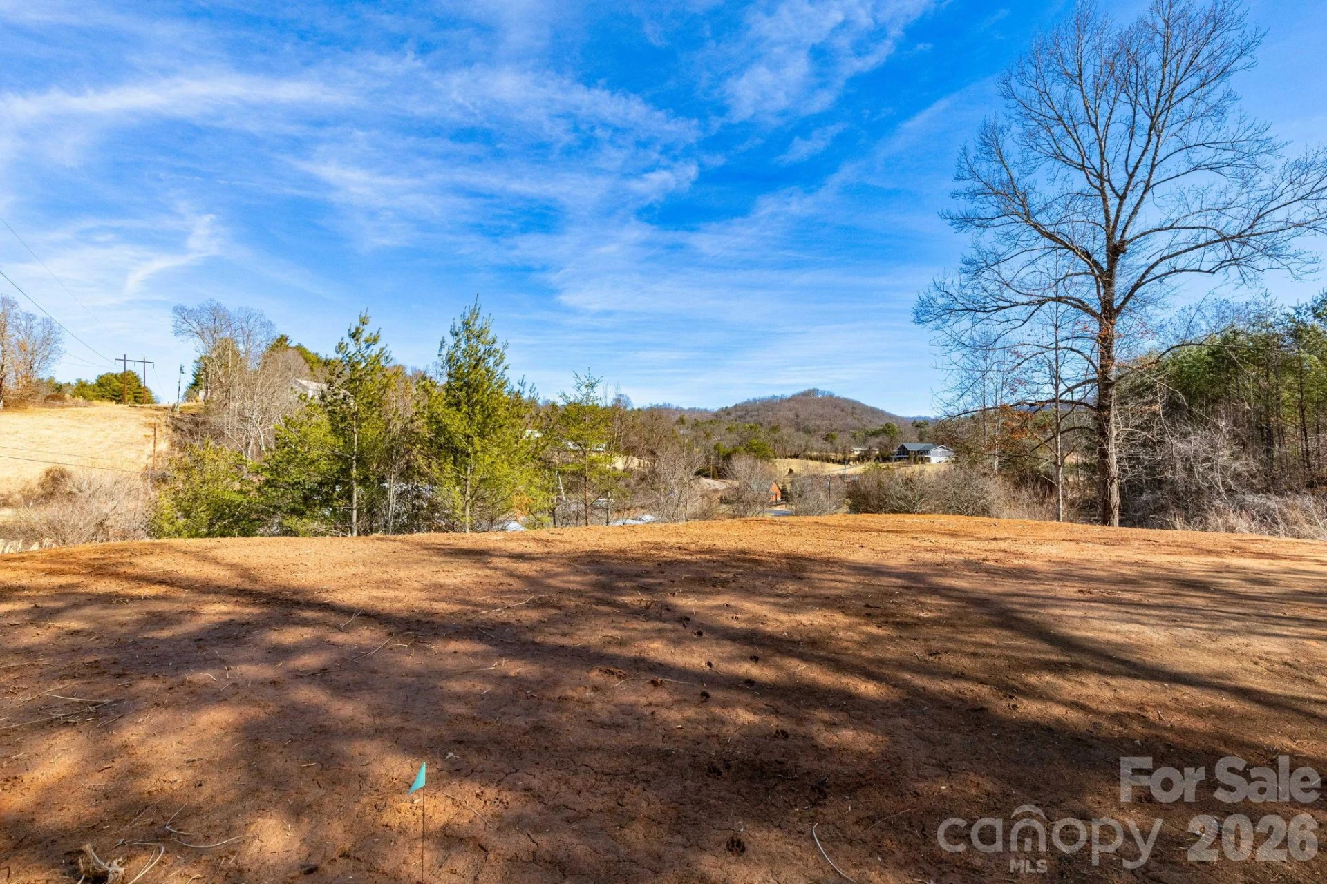 TBD Bell Sprinkle Road - Photo 17