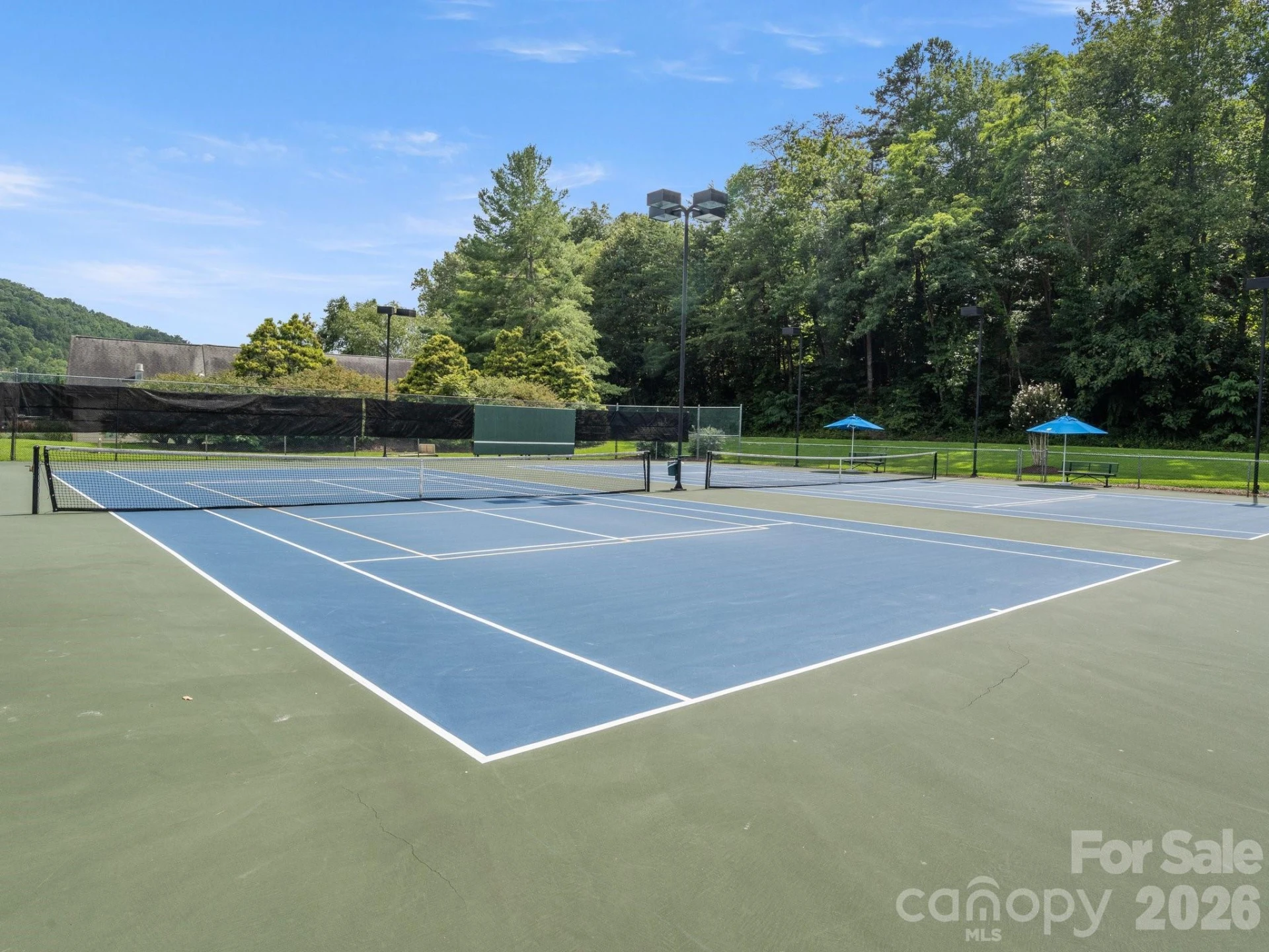 189 Cameron Lane - Photo 37