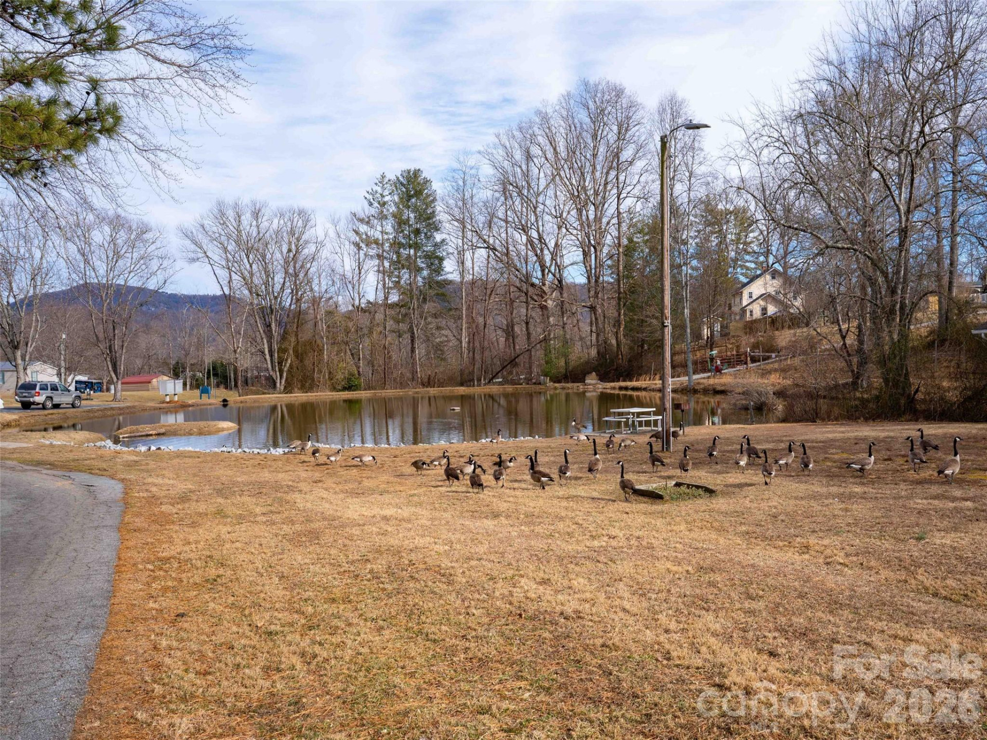 193 Freedom Road - Photo 22