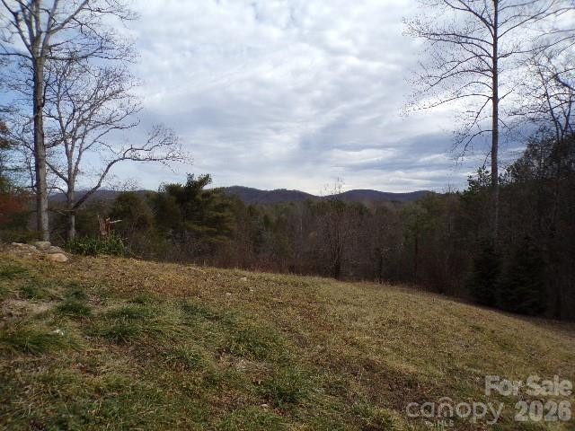 202 Honor Lane - Photo 3