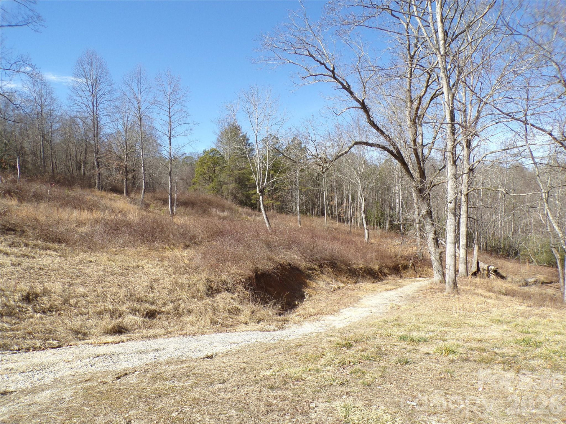 202 Honor Lane - Photo 26