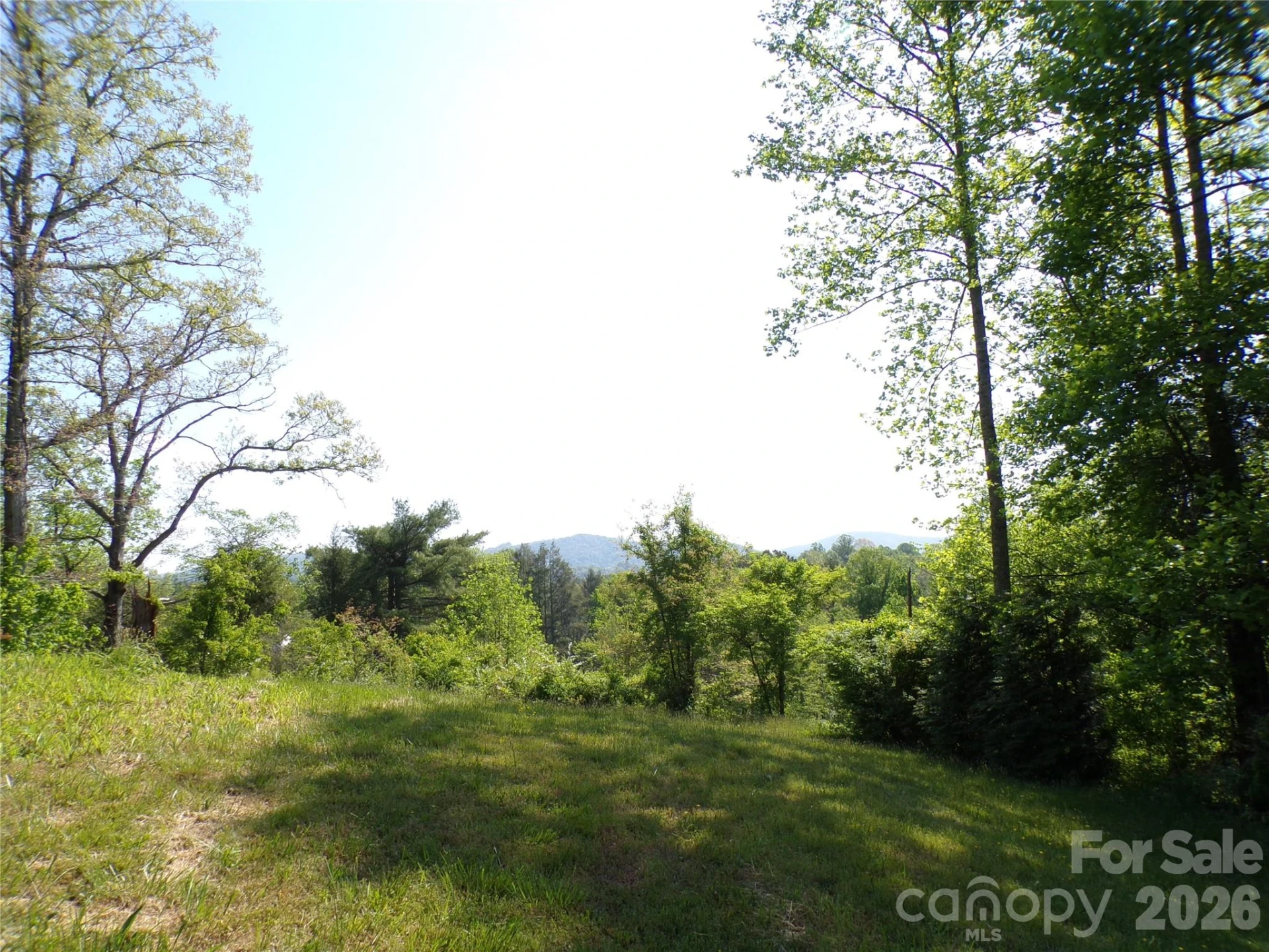 202 Honor Lane - Photo 17