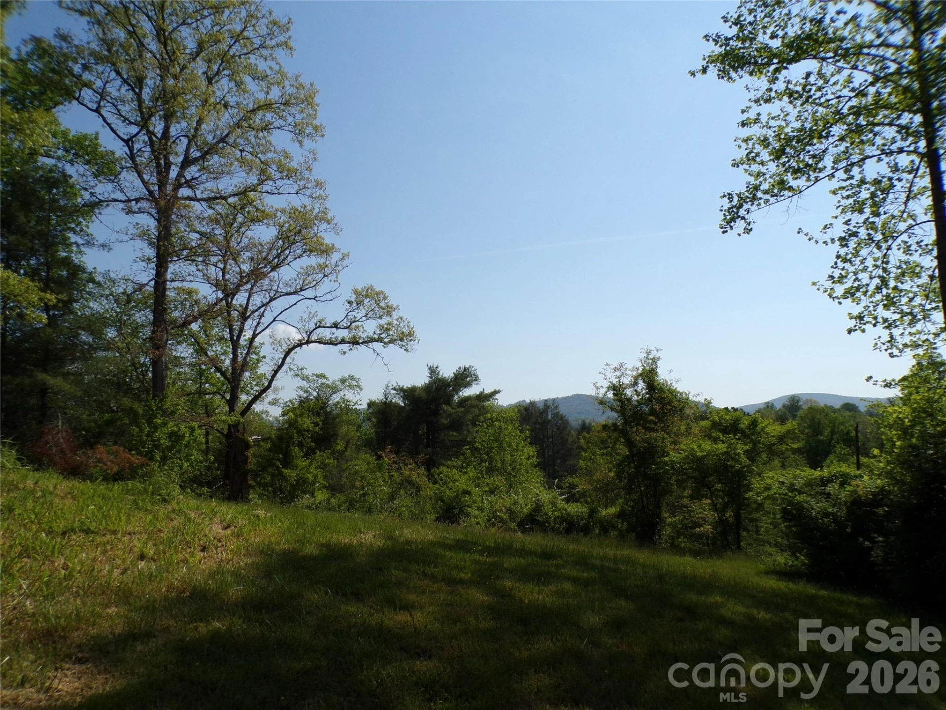 202 Honor Lane - Photo 19