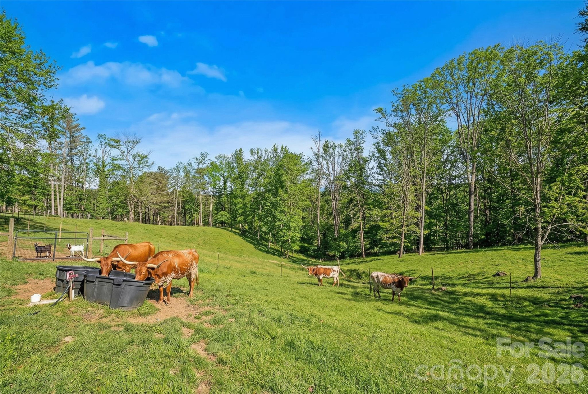735 Macedonia Road - Photo 4