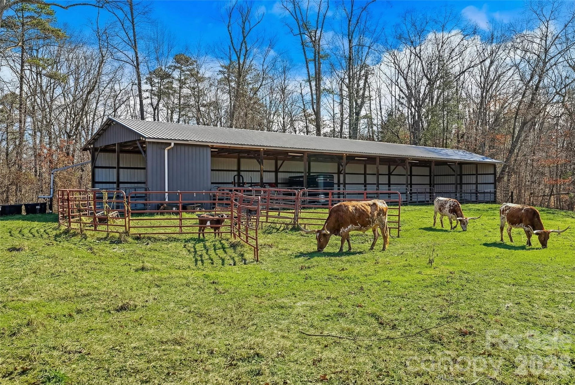 735 Macedonia Road - Photo 5