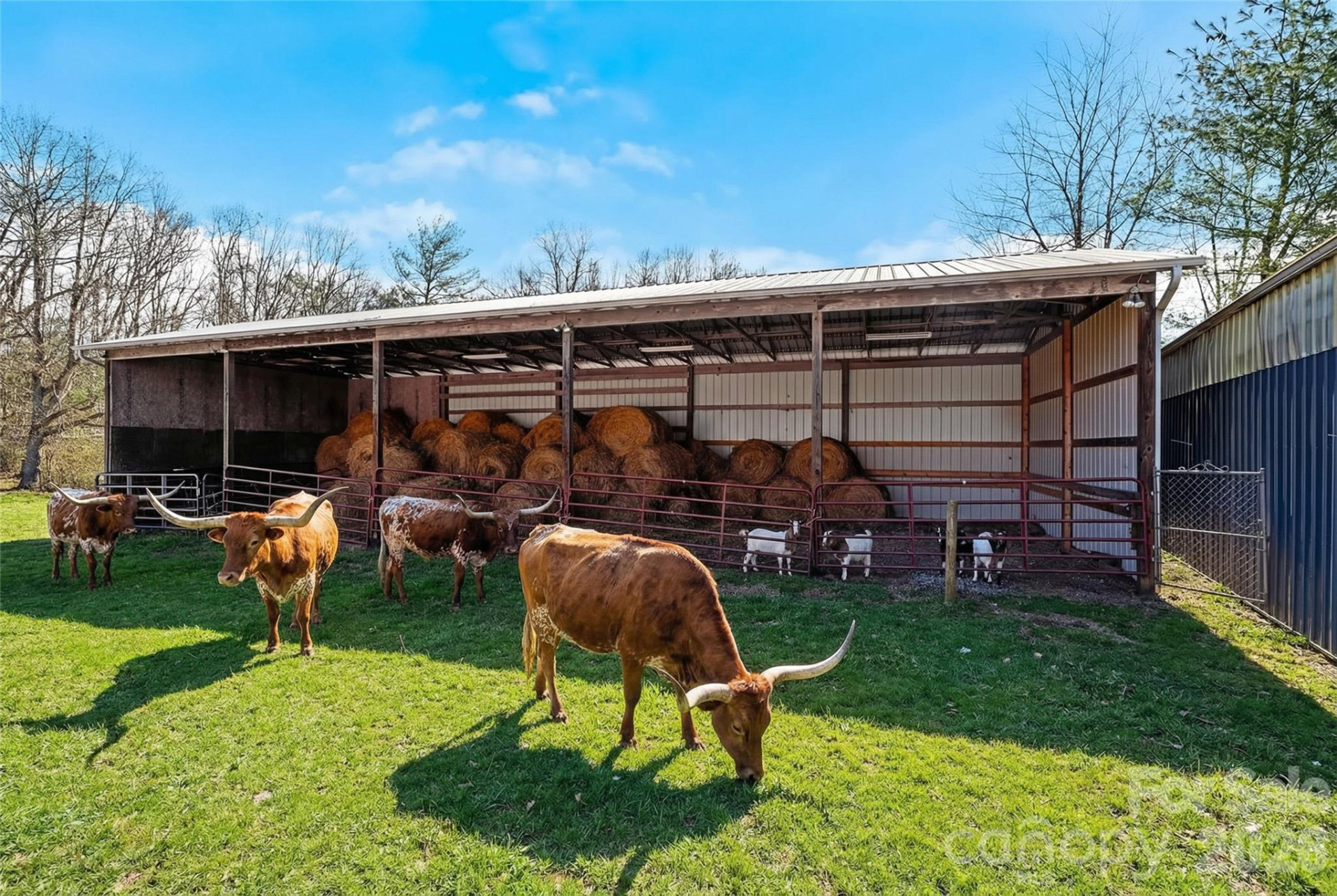 735 Macedonia Road - Photo 8