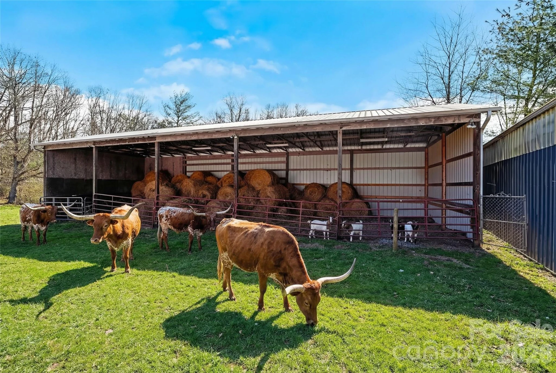 735 Macedonia Road - Photo 8