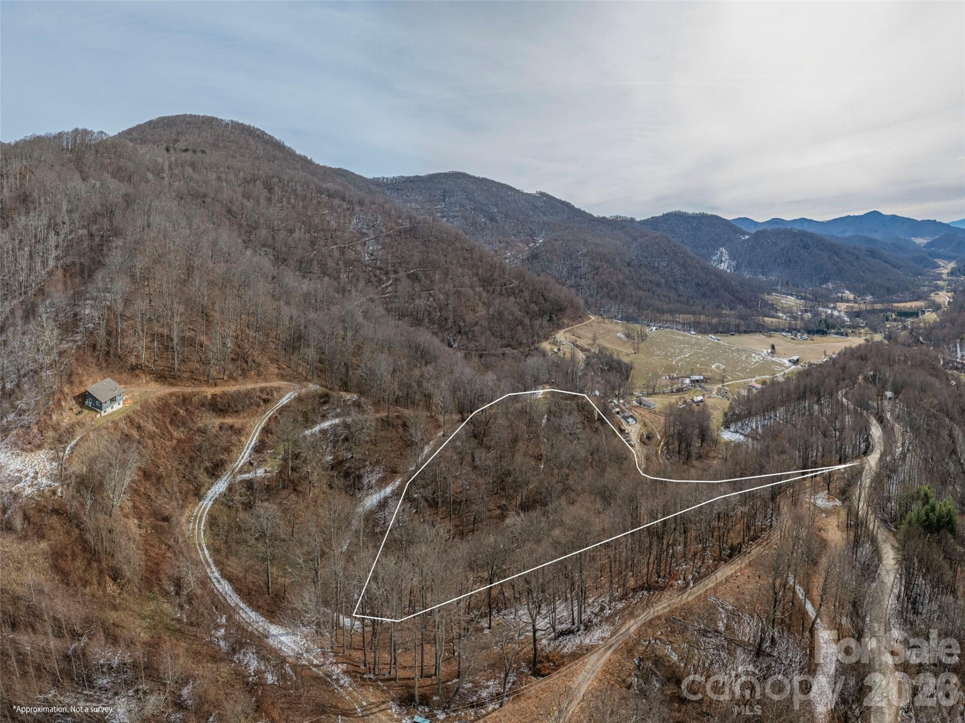 00 Max Patch Road - Photo 3