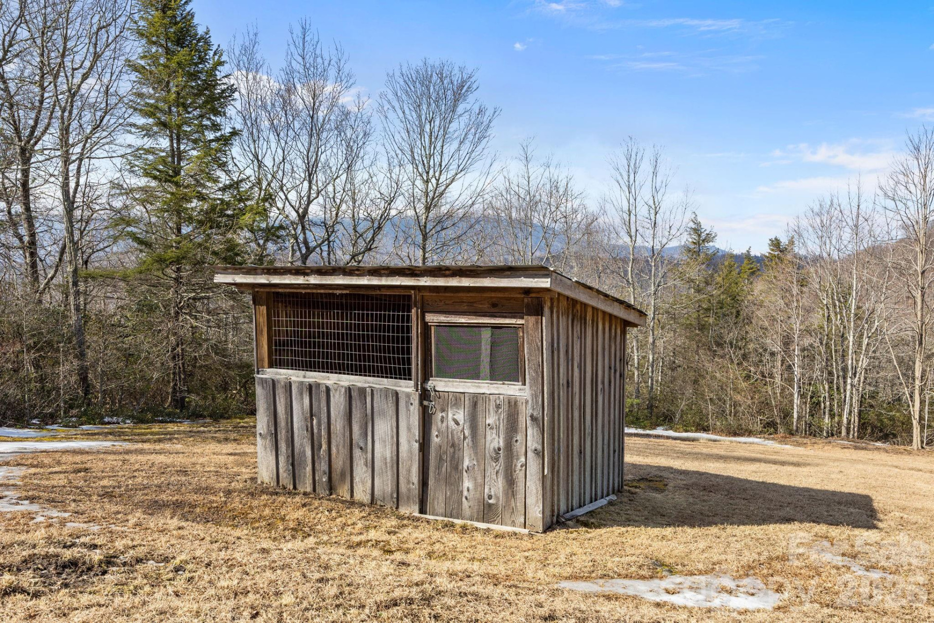 951 Pine Tree Road - Photo 21