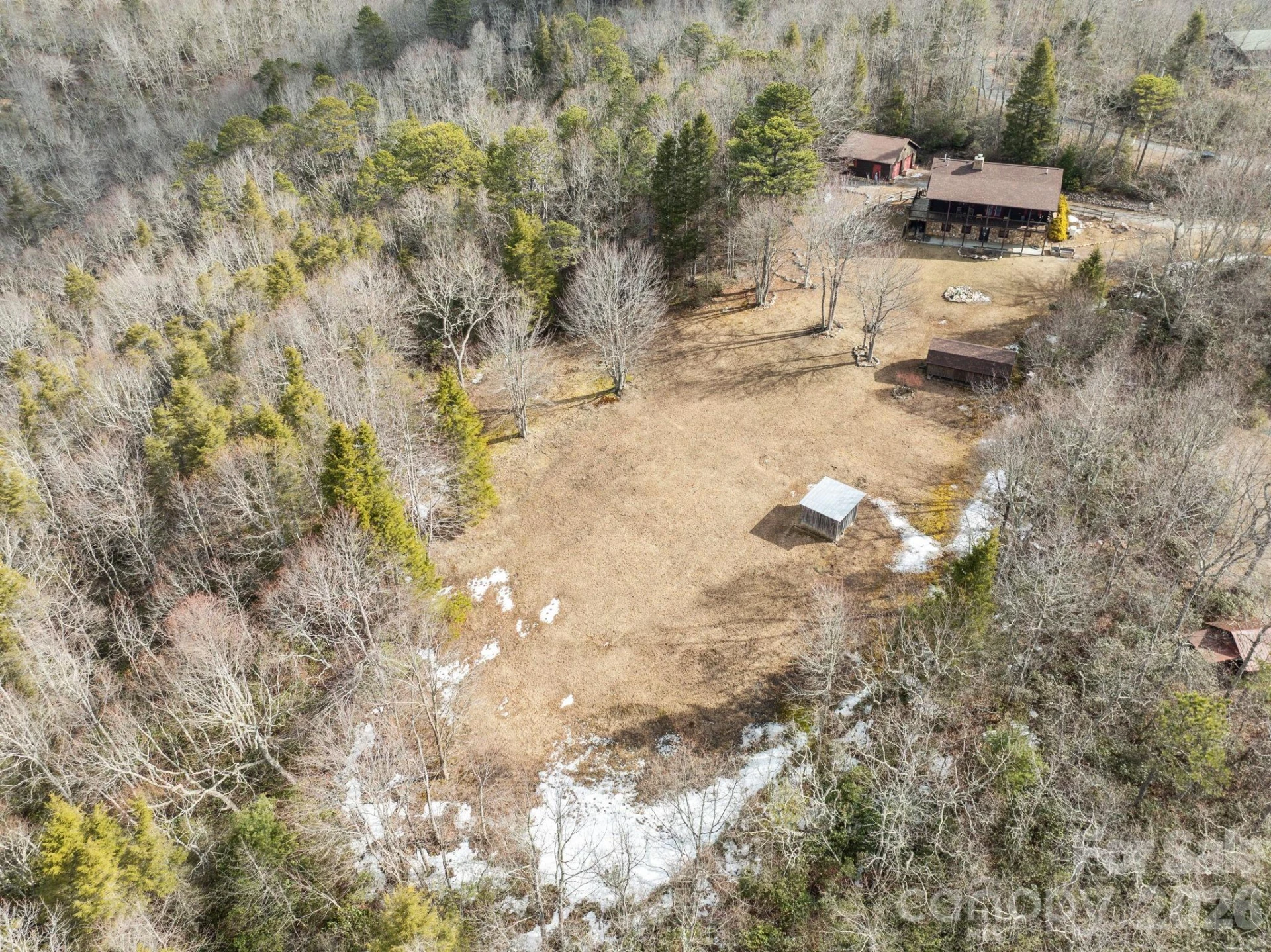 951 Pine Tree Road - Photo 5