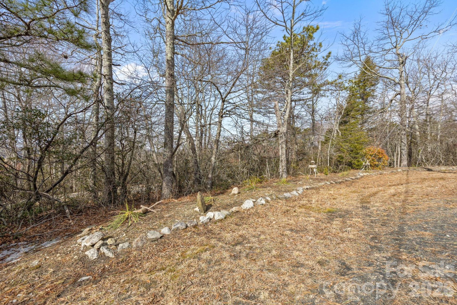 951 Pine Tree Road - Photo 46
