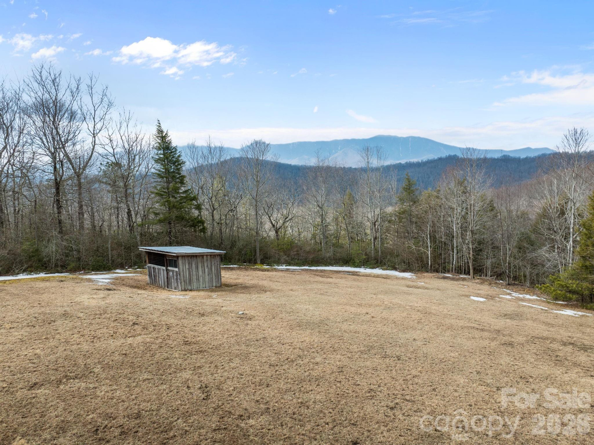 951 Pine Tree Road - Photo 9
