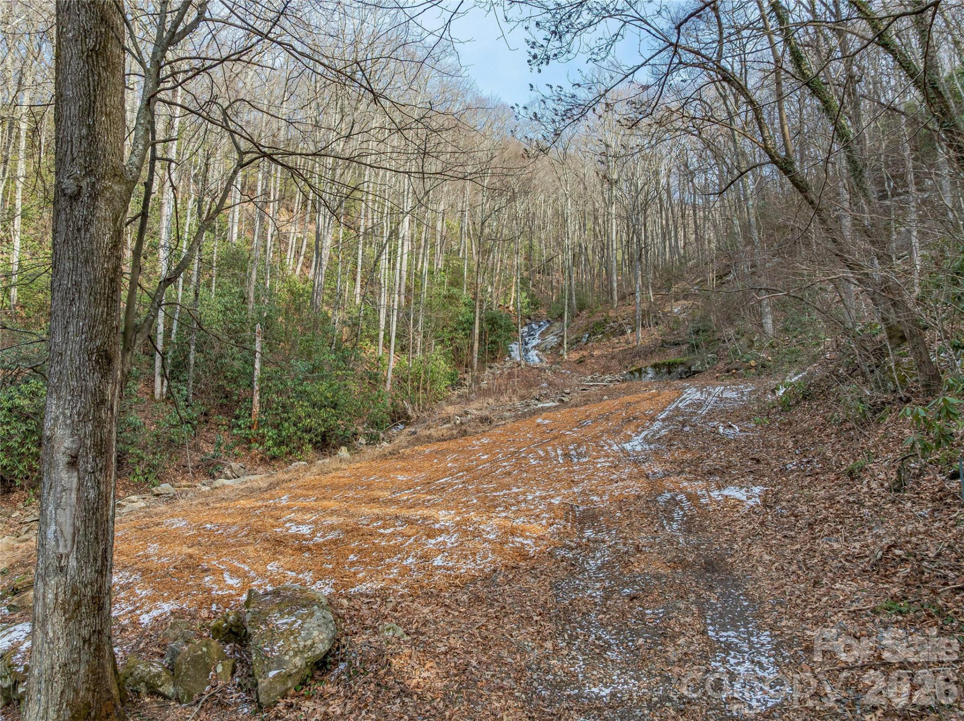 119 Wildflower Cove Drive - Photo 11